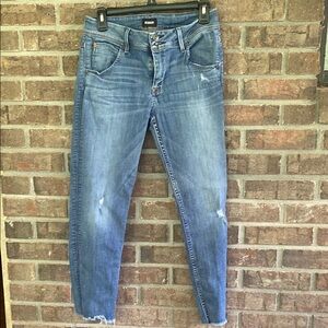 Hudson Jeans Blue Skinny Denim